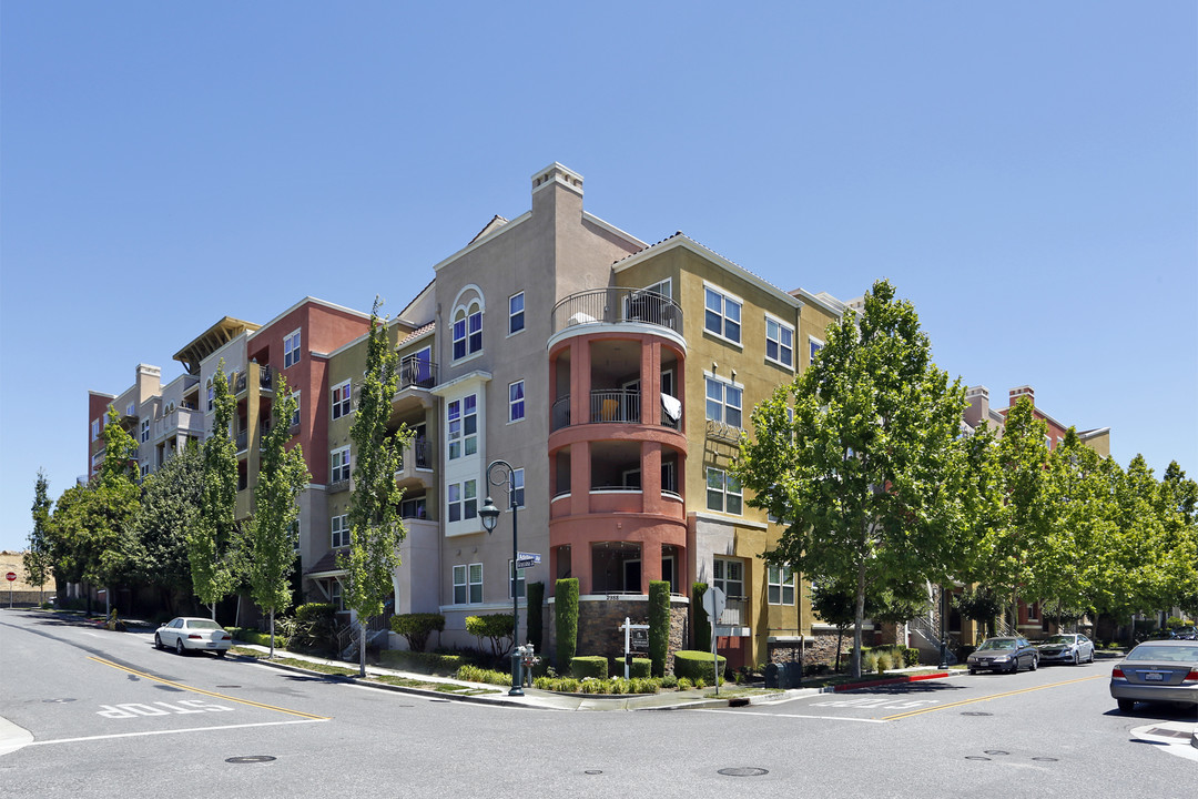 2988 Grassina St in San Jose, CA - Foto de edificio