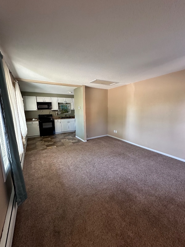 501 3rd St W in Thief River Falls, MN - Building Photo - Building Photo