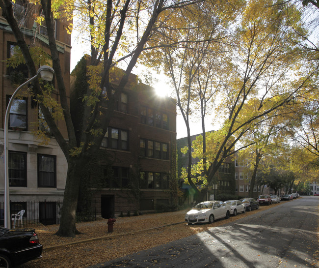 Elaine Place in Chicago, IL - Building Photo - Building Photo