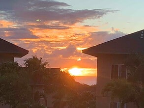 25 Heather Ln in Lahaina, HI - Building Photo - Building Photo