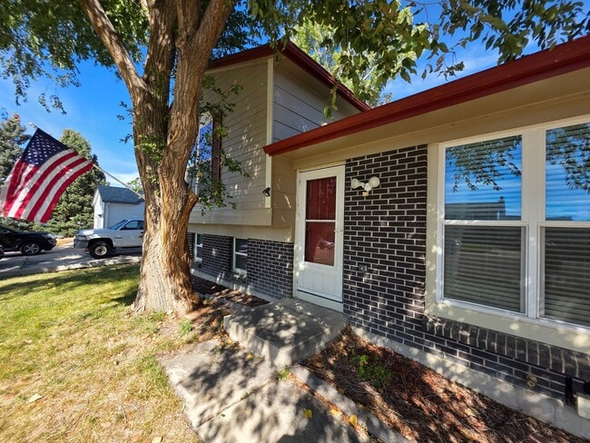 11246 Donley Dr in Parker, CO - Building Photo - Building Photo