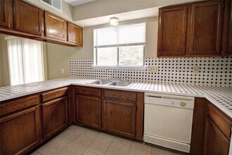 10024 Spring Pl Dr in Houston, TX - Building Photo - Building Photo