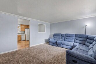 695 Calle Entrada in Fountain, CO - Building Photo - Building Photo