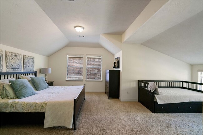 241 W Tupelo Green Cir in Spring, TX - Building Photo - Building Photo