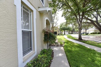 14936 Salamander Pl in Tampa, FL - Building Photo - Building Photo