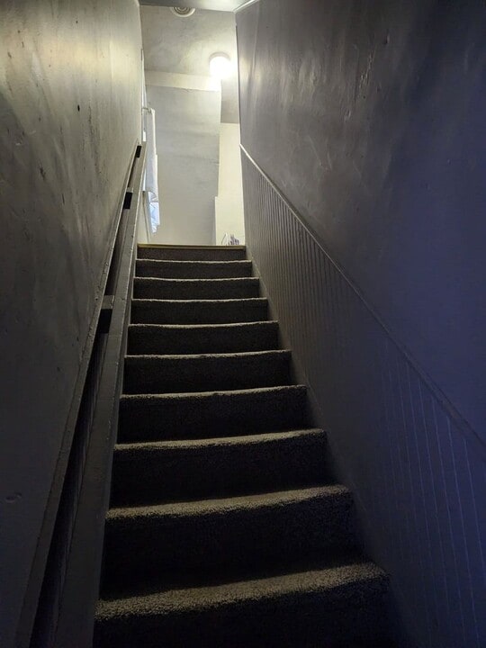 710 E 13th St in Erie, PA - Building Photo