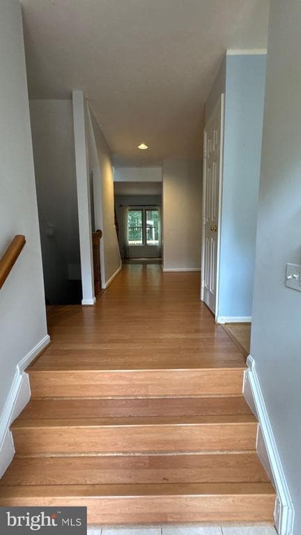 property at 5957 Cedar Fern Ct