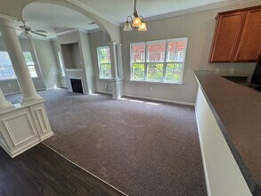 249 Maynard Summit Way in Cary, NC - Building Photo - Building Photo