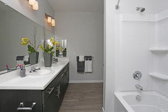 Interior Photo