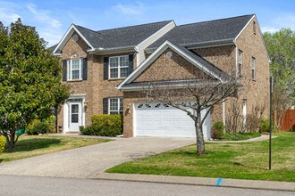 4019 Cadence Dr in Spring Hill, TN - Building Photo - Building Photo