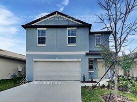 10355 Blue Plume Ct in Riverview, FL - Building Photo