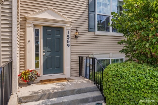 1569 Deer Pointe Dr in South Elgin, IL - Foto de edificio - Building Photo