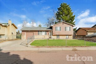 7029 Taft Ct in Colorado Springs, CO - Building Photo