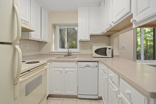 133 Beaconsfield Rd, Unit 36 in Brookline, MA - Building Photo - Building Photo