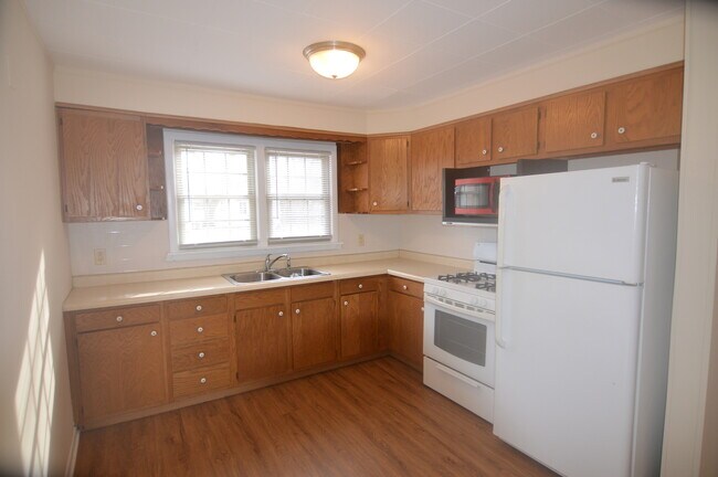 28601 N Washington Ave in Wauconda, IL - Building Photo - Building Photo