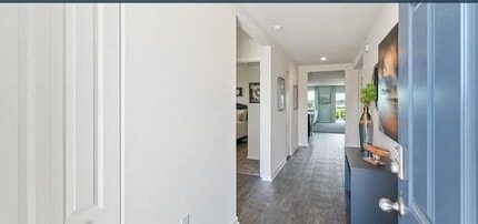 12792 Cacao Tree Trl in Jacksonville, FL - Building Photo - Building Photo