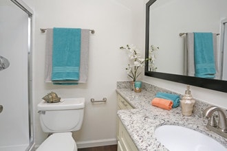 Central Park Apartments in San Jose, CA - Foto de edificio - Interior Photo