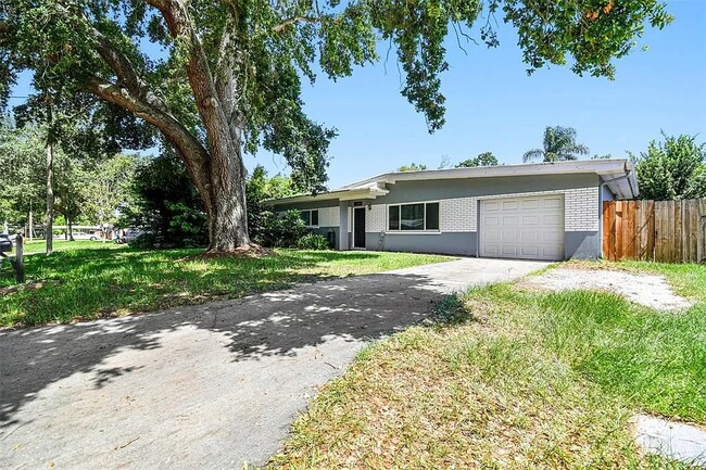 1048 Mary Jane Ln in Dunedin, FL - Building Photo - Building Photo
