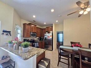 31142 Gossamer Way in Wesley Chapel, FL - Building Photo - Building Photo