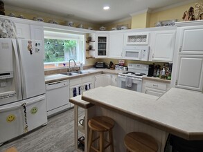 631 Andrew Ave in St. Augustine, FL - Building Photo - Building Photo
