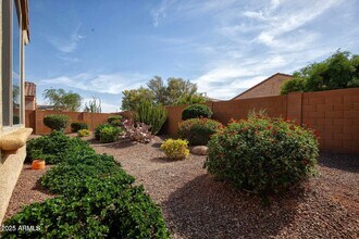 21883 N 263rd Dr in Buckeye, AZ - Building Photo - Building Photo