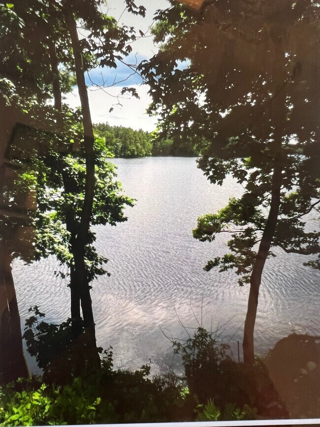 21 Pond St Rentals in Westford, MA