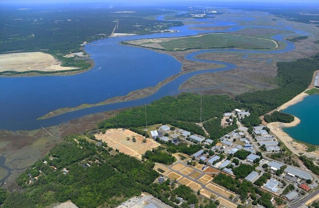 205 Harlequin Alley in Daniel Island, SC - Building Photo - Building Photo