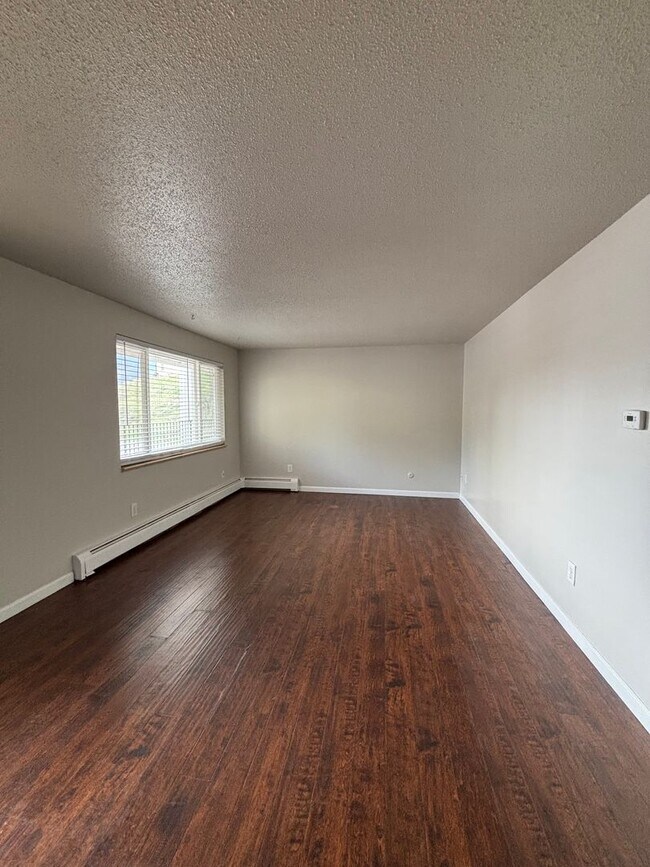 903 Fontmore Rd in Colorado Springs, CO - Building Photo - Building Photo