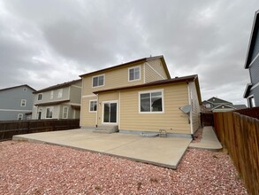 7159 Red Cardinal Loop in Colorado Springs, CO - Building Photo - Building Photo