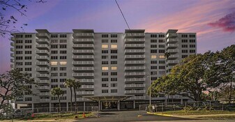 2401 Bayshore Blvd in Tampa, FL - Building Photo
