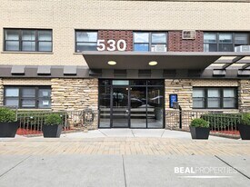 530 W Aldine in Chicago, IL - Building Photo