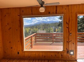 305 Dewell Rd in Woodland Park, CO - Building Photo