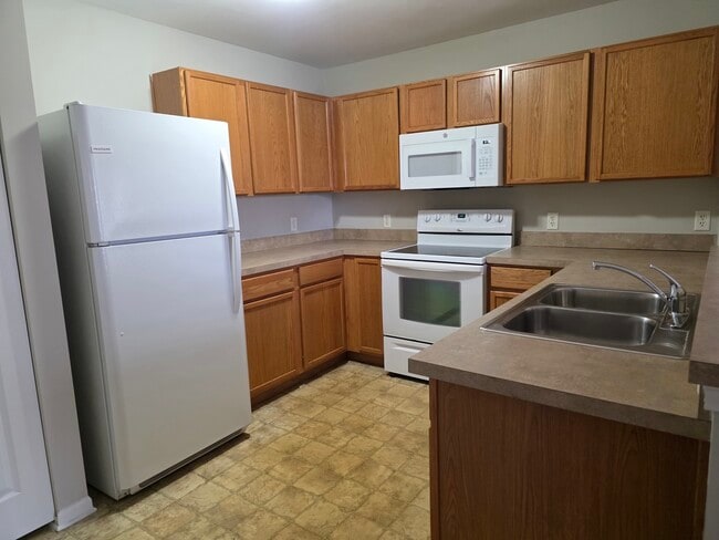 234 Bertram Dr in Yorkville, IL - Building Photo - Building Photo