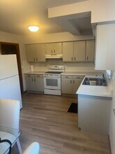 303 W 2nd Pl in Spring Valley, IL - Building Photo - Building Photo