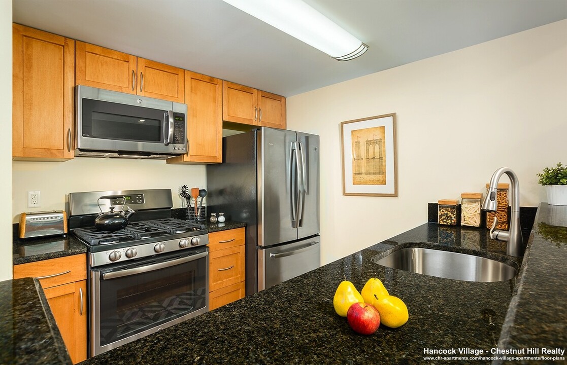 53 Thornton Rd, Unit 1 in Chestnut Hill, MA - Building Photo