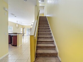 20402 Needletree Dr in Tampa, FL - Foto de edificio - Building Photo