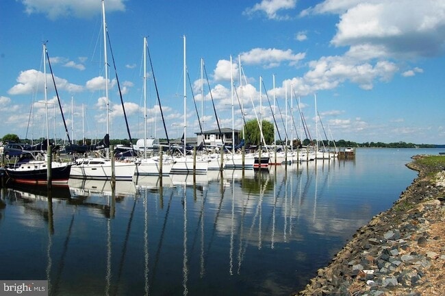 247 Fountain St in Havre De Grace, MD - Building Photo - Building Photo