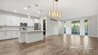 17806 Althea Blue Pl in Lutz, FL - Foto de edificio - Building Photo