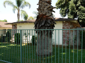 El Dorado Ave Apartments in Ontario, CA - Building Photo - Building Photo