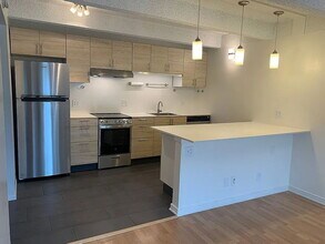 1265 Race St in Denver, CO - Building Photo - Building Photo