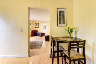 4 Laverne Ave in Mill Valley, CA - Building Photo - Building Photo