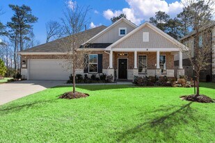 713 Ivory Crk Ct in Willis, TX - Building Photo