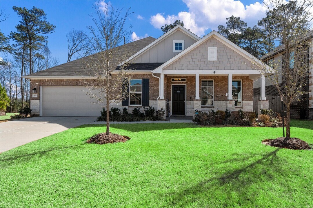 713 Ivory Crk Ct in Willis, TX - Building Photo