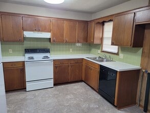 1419 E Cairo St in Springfield, MO - Building Photo - Building Photo