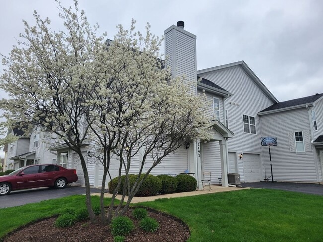 2492 Dickens Dr in Aurora, IL - Building Photo - Building Photo