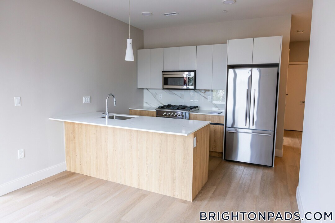 249 Corey Rd in Boston, MA - Building Photo