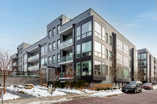 Norweta Row - Phase I in Chicago, IL - Foto de edificio - Building Photo