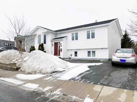 47 Branscombe St in St John's, NL - Building Photo