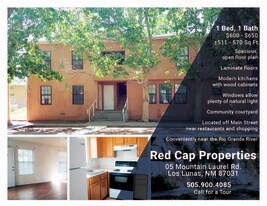 5 Mountain Laurel St Apartments