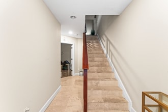 113 S Newport Ave in Tampa, FL - Building Photo - Building Photo